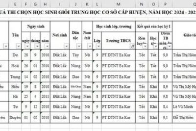 HỌC SINH GIỎI CẤP HUYỆN NĂM HỌC 2024-2025